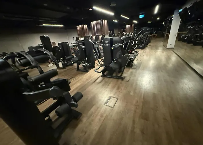 Skyline Luxuryspa Apartament *